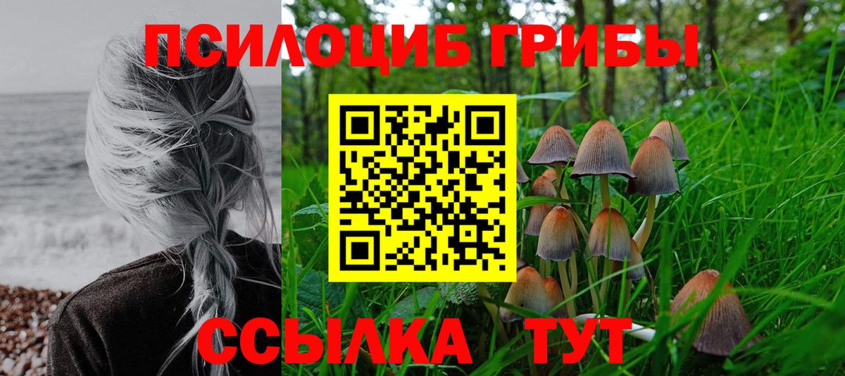 купить  цена  Галлюциногенные грибы MAGIC MUSHROOMS  Галлюциногенные грибы Cubensis  Вход с VPN  Сызрань 